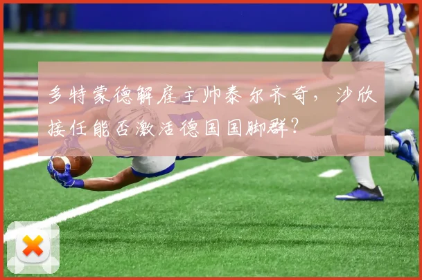 多特蒙德解雇主帅泰尔齐奇,沙欣接任能否激活德国国脚群?