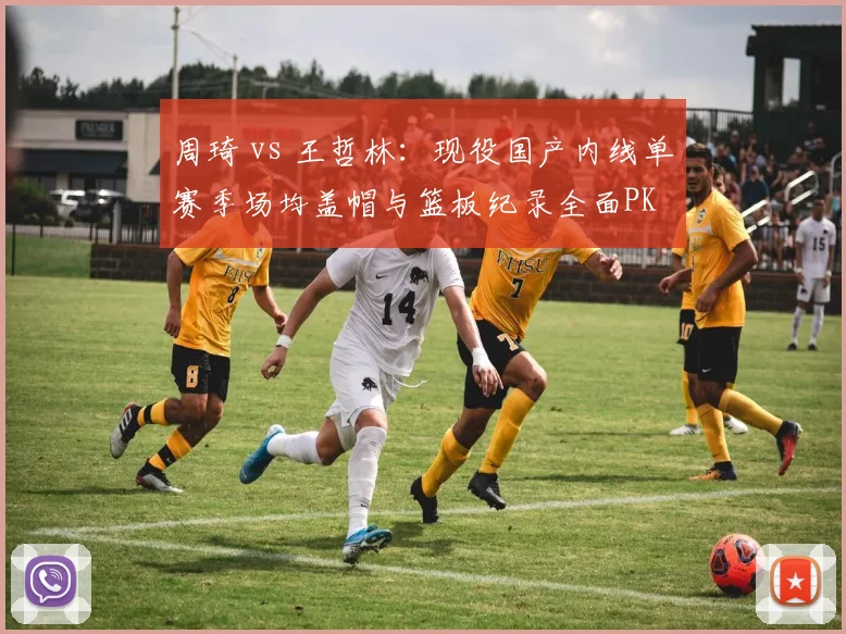 周琦 vs 王哲林：现役国产内线单赛季场均盖帽与篮板纪录全面PK