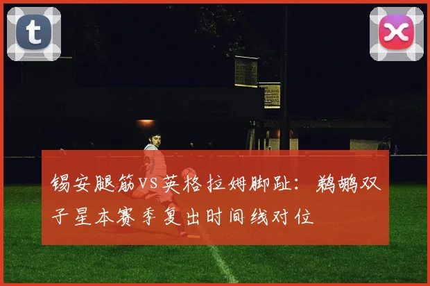 锡安腿筋vs英格拉姆脚趾：鹈鹕双子星本赛季复出时间线对位
