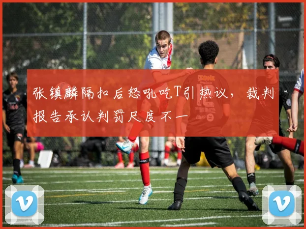 张镇麟隔扣后怒吼吃T引热议，裁判报告承认判罚尺度不一